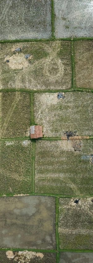 Aerial perspective of green and brown farmland divided into sections