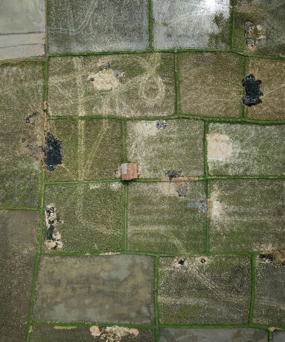 Aerial perspective of green and brown farmland divided into sections