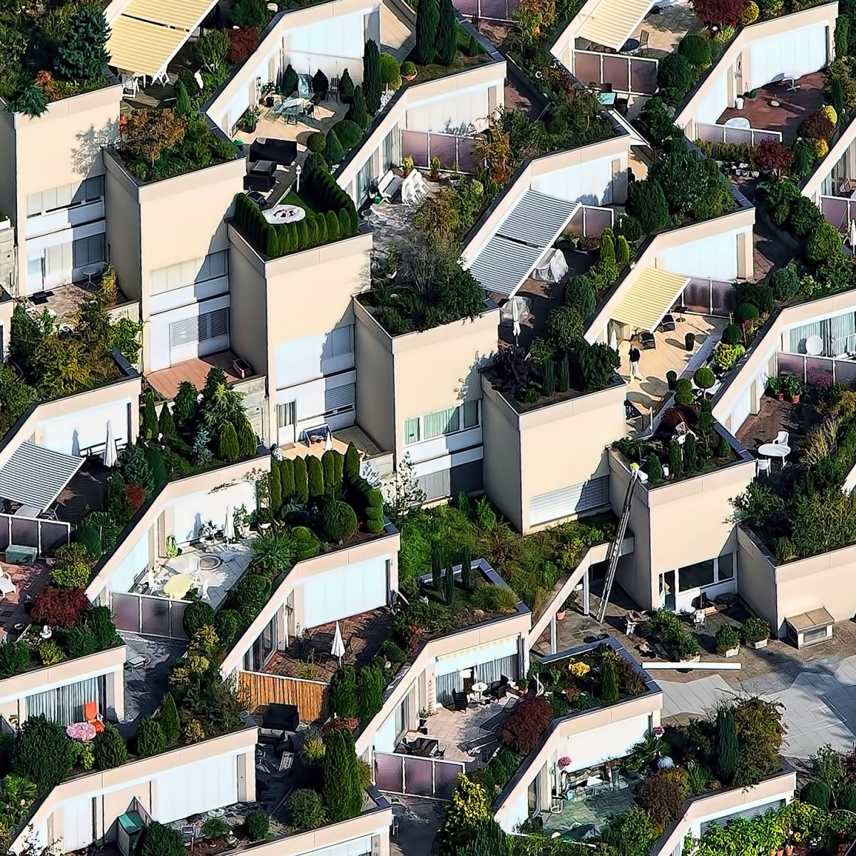 ricardo gomez angel 206347 unsplash.jpg